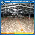 Estrutura de aço Broilehouse House Design Low Cost Steel Poultry Shed